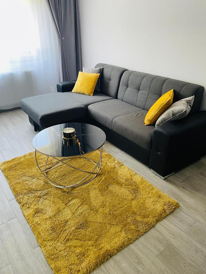 Timisoara Central Apartment New Parking !! Dış mekan fotoğraf