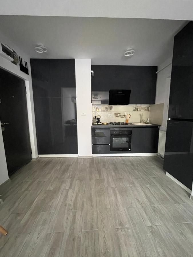 Timisoara Central Apartment New Parking !! Dış mekan fotoğraf